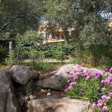 Chambre D'Hote Saint Remy Aramon Exterior foto