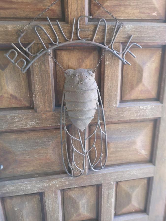 Chambre D'Hote Saint Remy Aramon Exterior foto